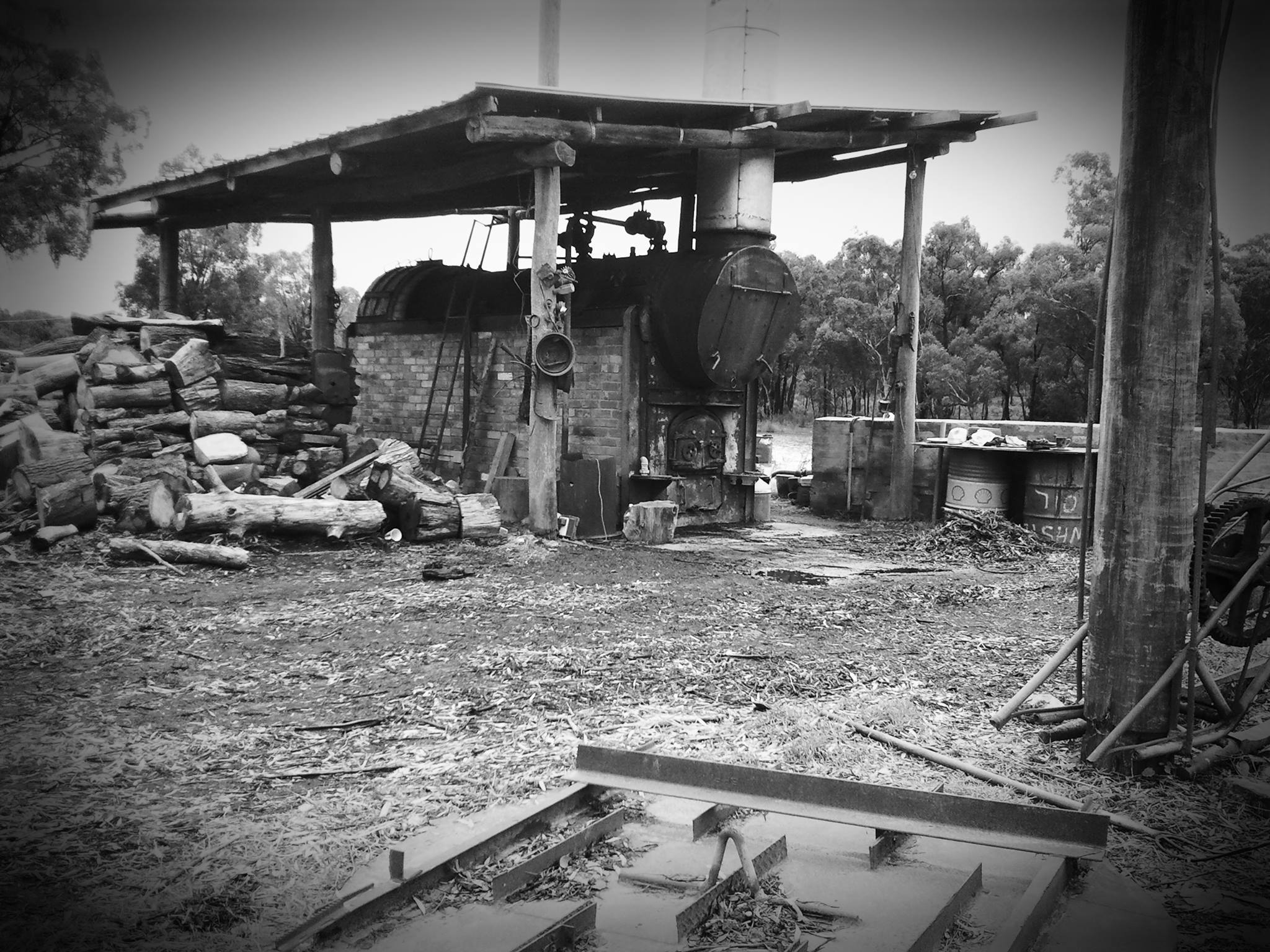 Jones's Eucalyptus Oil Jones Eucalyptus Oil